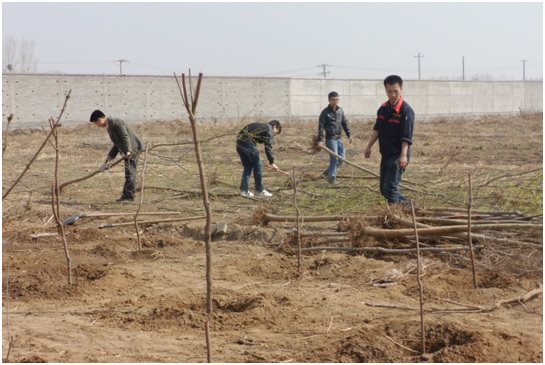 1433993480911843FC1A.jpg 1.jpg